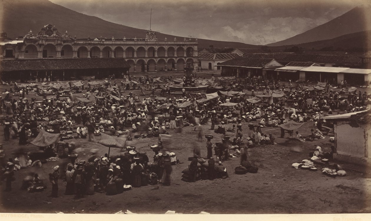 Plaza and Viceroy