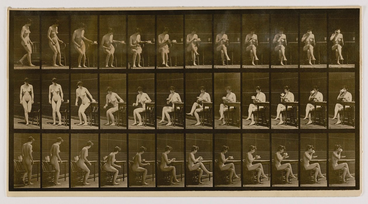 Woman Seated, Legs Crossed, Drinking from Teacup, from the book Animal Locomotion by Eadweard Muybridge