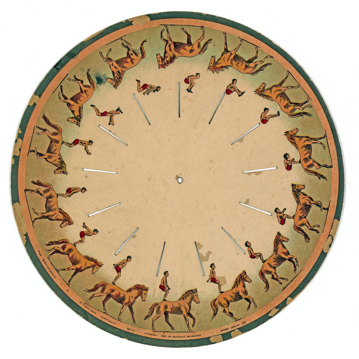 Zoopraxiscope Disc Showing an Acrobat Performing a Horse Back Somersault, 1893 by Eadweard Muybridge
