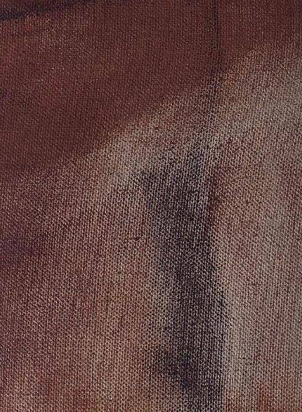 Combing the hair by Edgar Degas