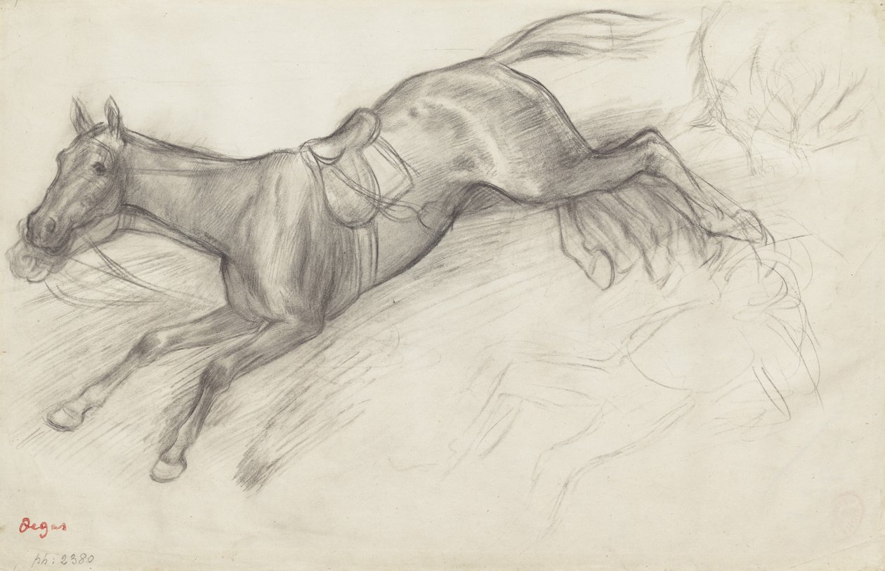 Study for 