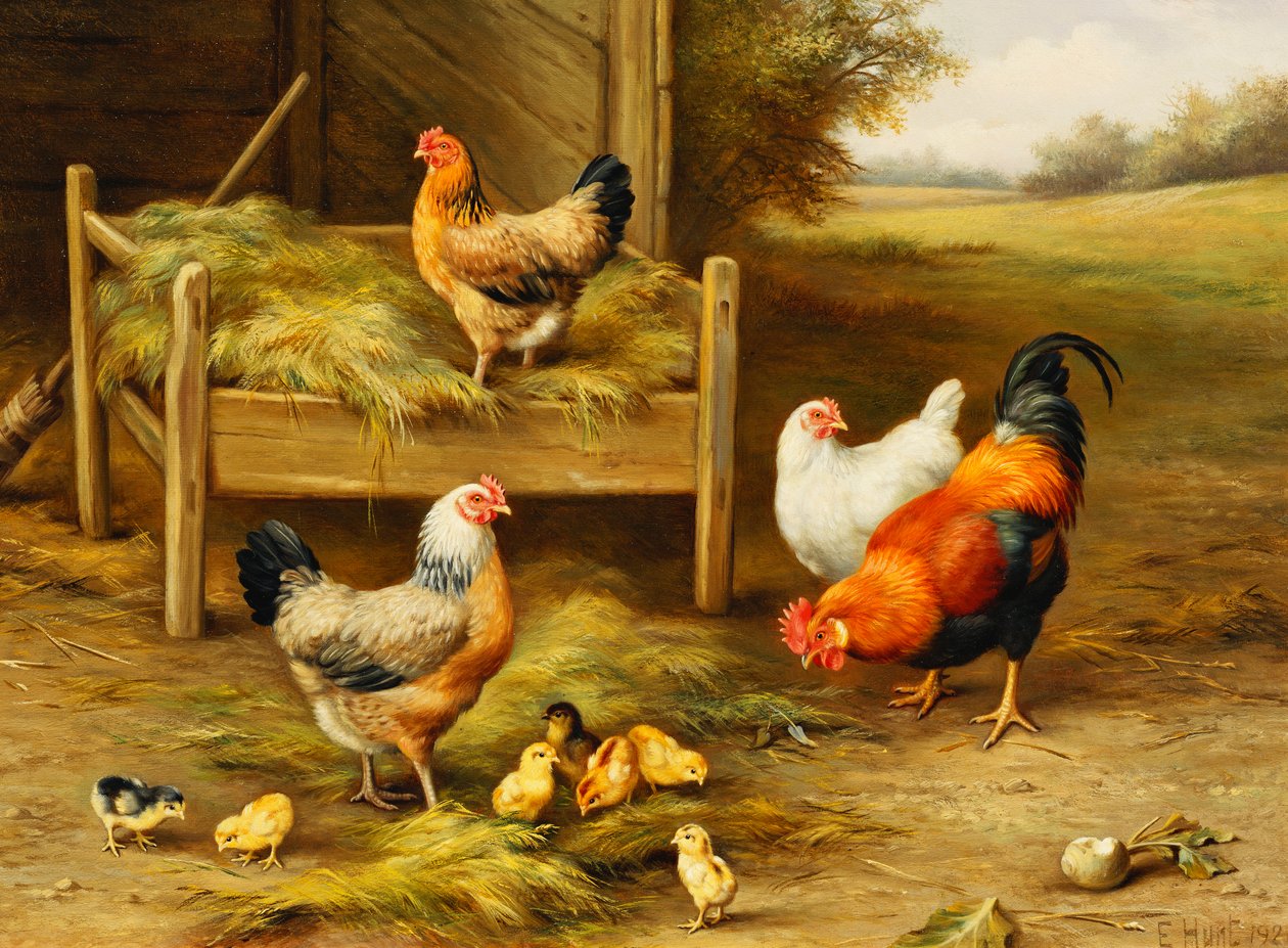 Chickens and Chicks Feeding by Edgar Hunt