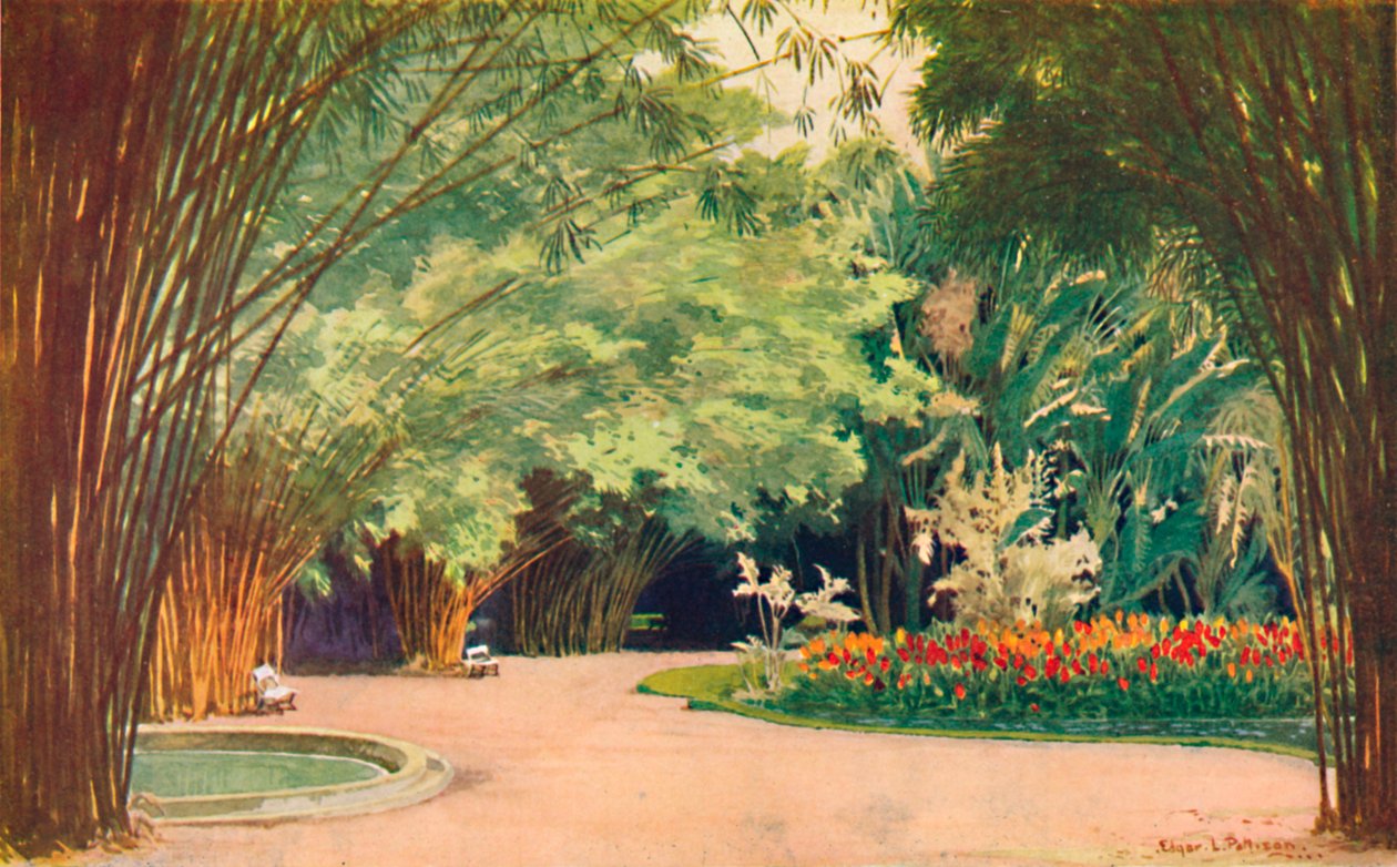 A Bamboo Grove - Botanical Gardens by Edgar L. Pattison