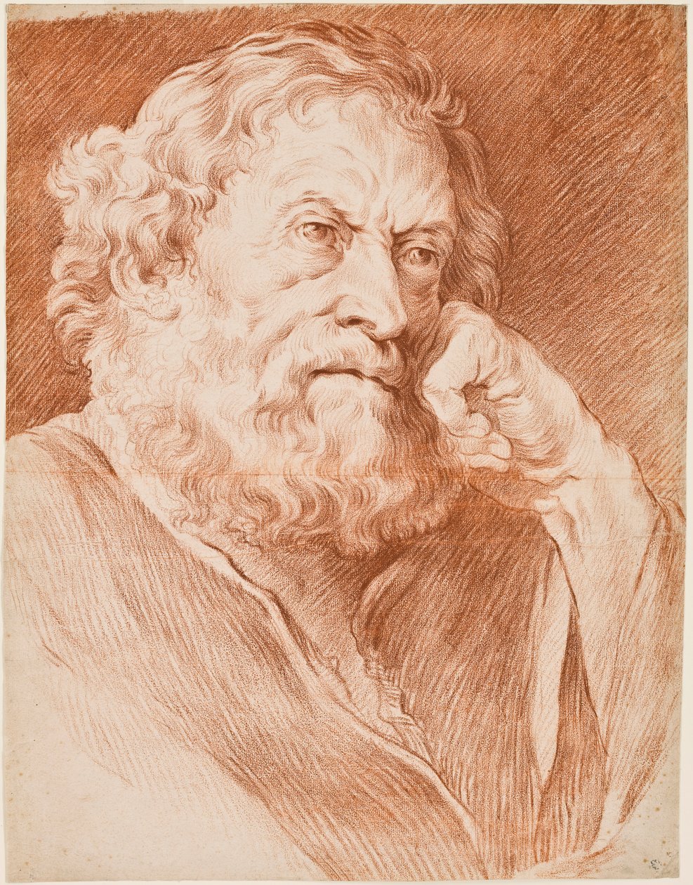 Head of a bearded man by Edmé Bouchardon