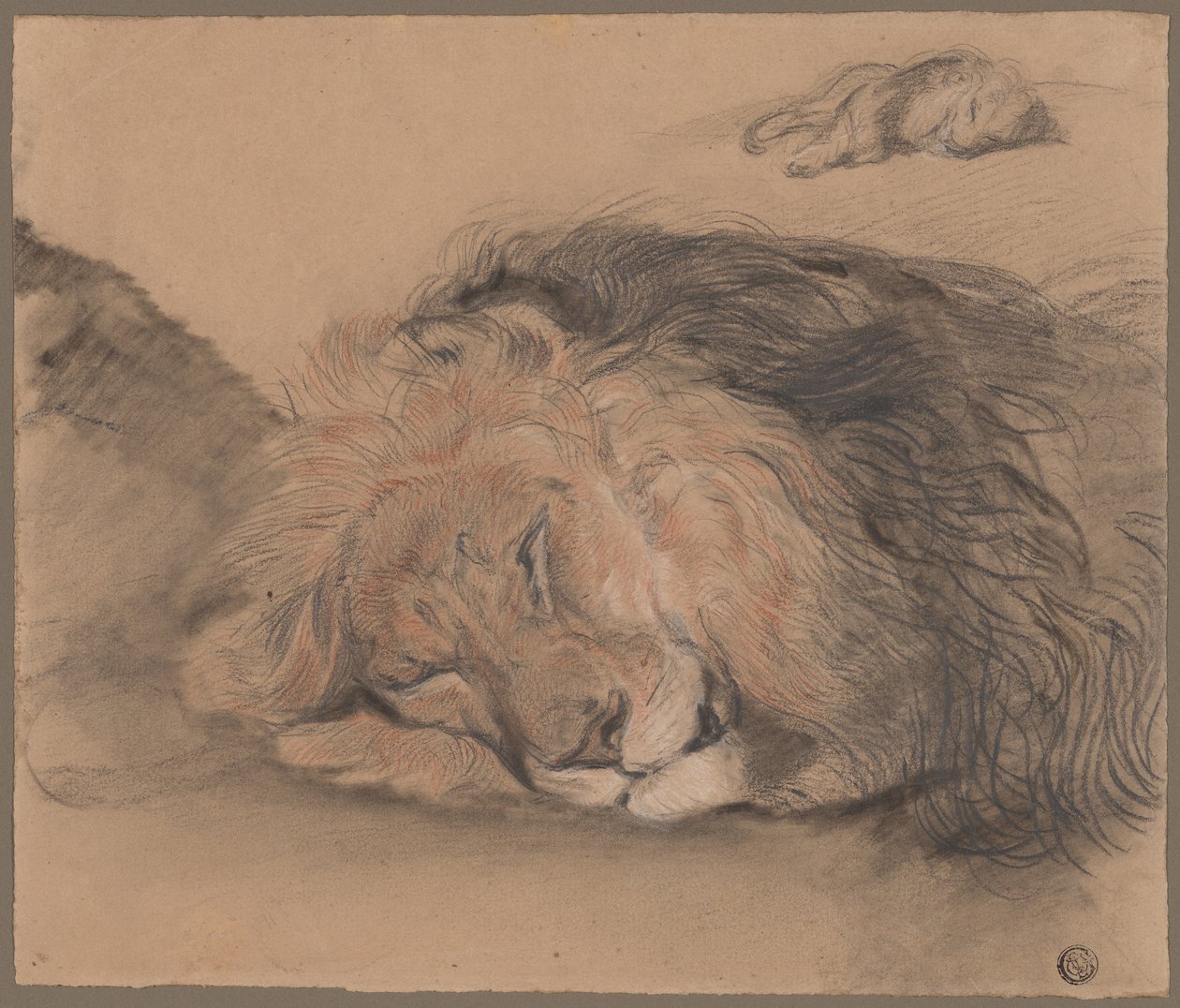 Lion