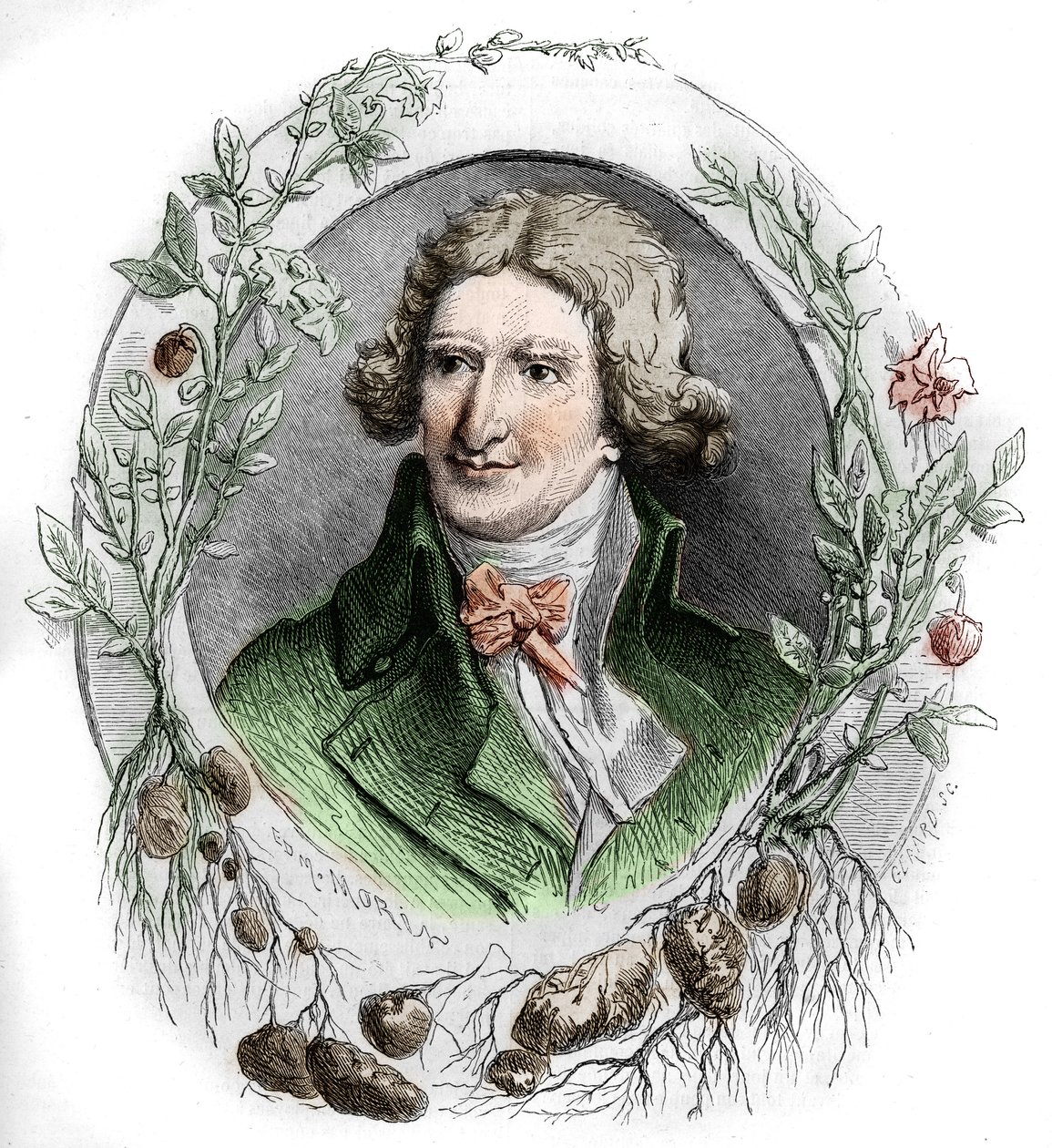 Portrait of Antoine Augustin Parmentier (1737-1813), French military pharmacist and agronomist. Engraving by Edmond Morin by Edmond Morin
