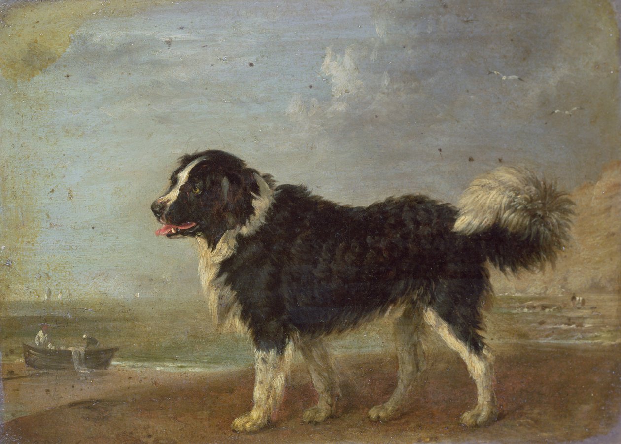 Unknown Image by Edmund Bristow