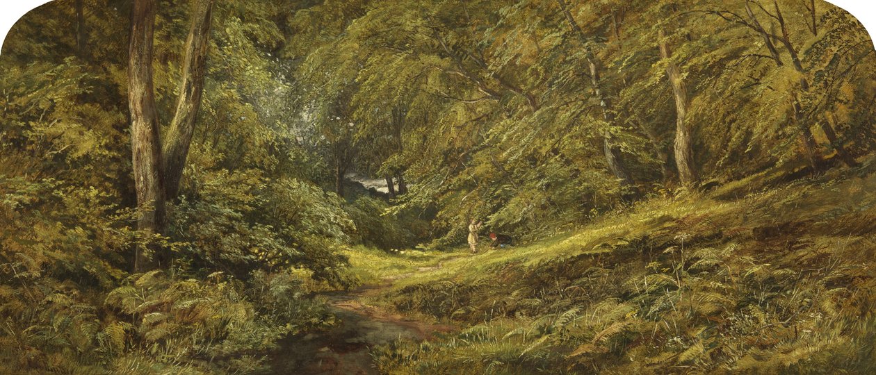 Sketch - In the Woods by Edmund G. Muller
