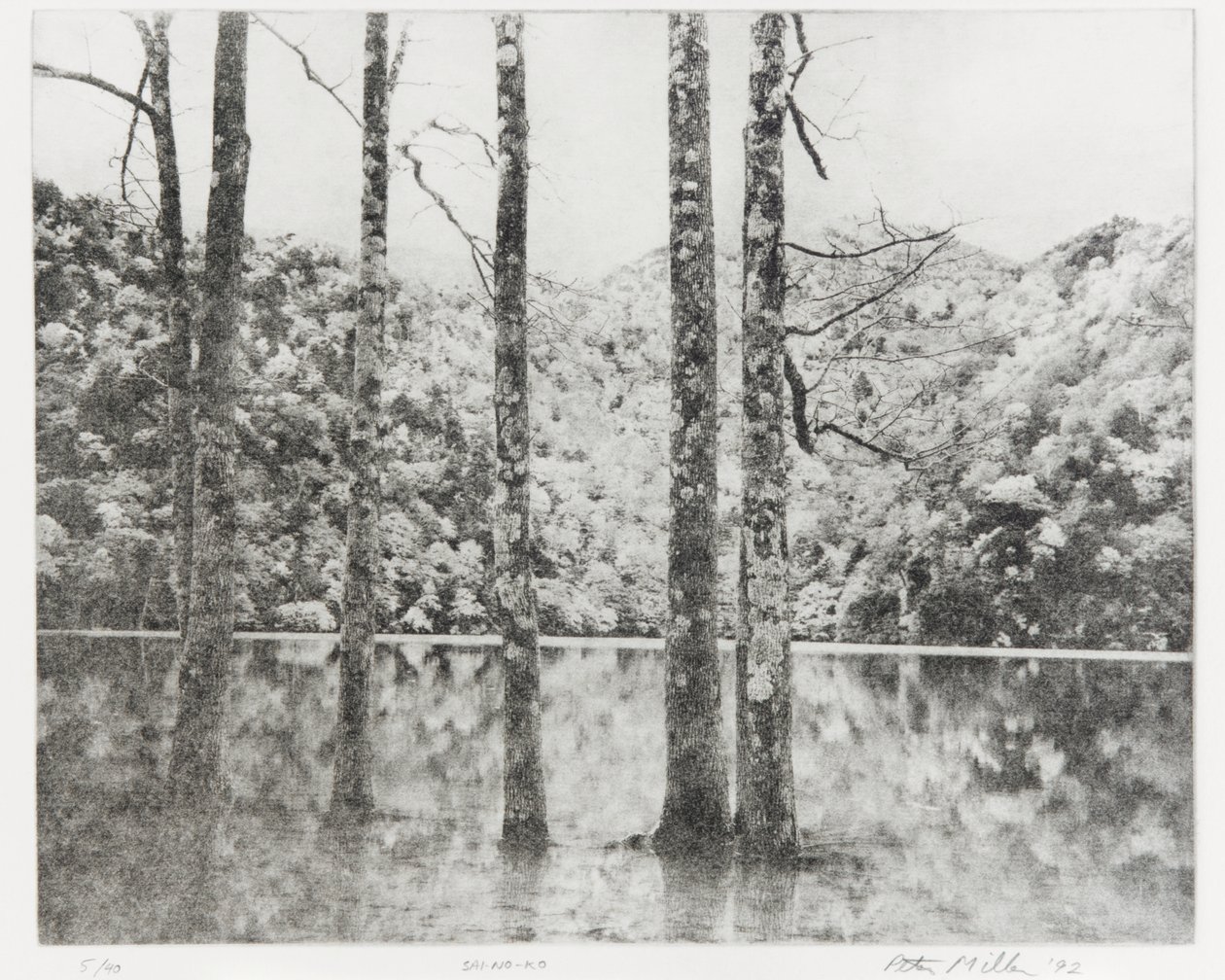 Sai-no-Ko, 1992 by Edouard Cremieux