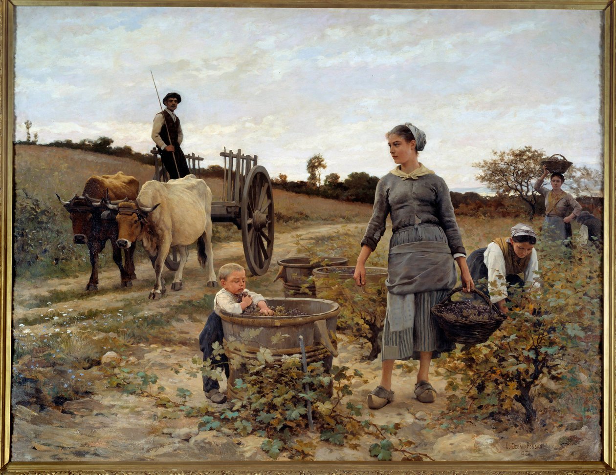 Corner of Vine in Languedoc by Edouard Debat Ponsan