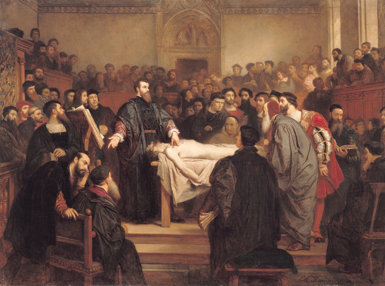 Andreas Vesalius (1514-64) at Padua, 1859 by Edouard Jean Conrad Hamman