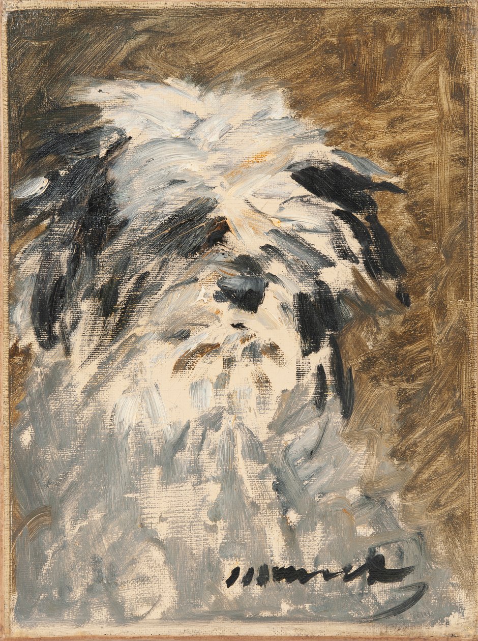 Minnay by Édouard Manet