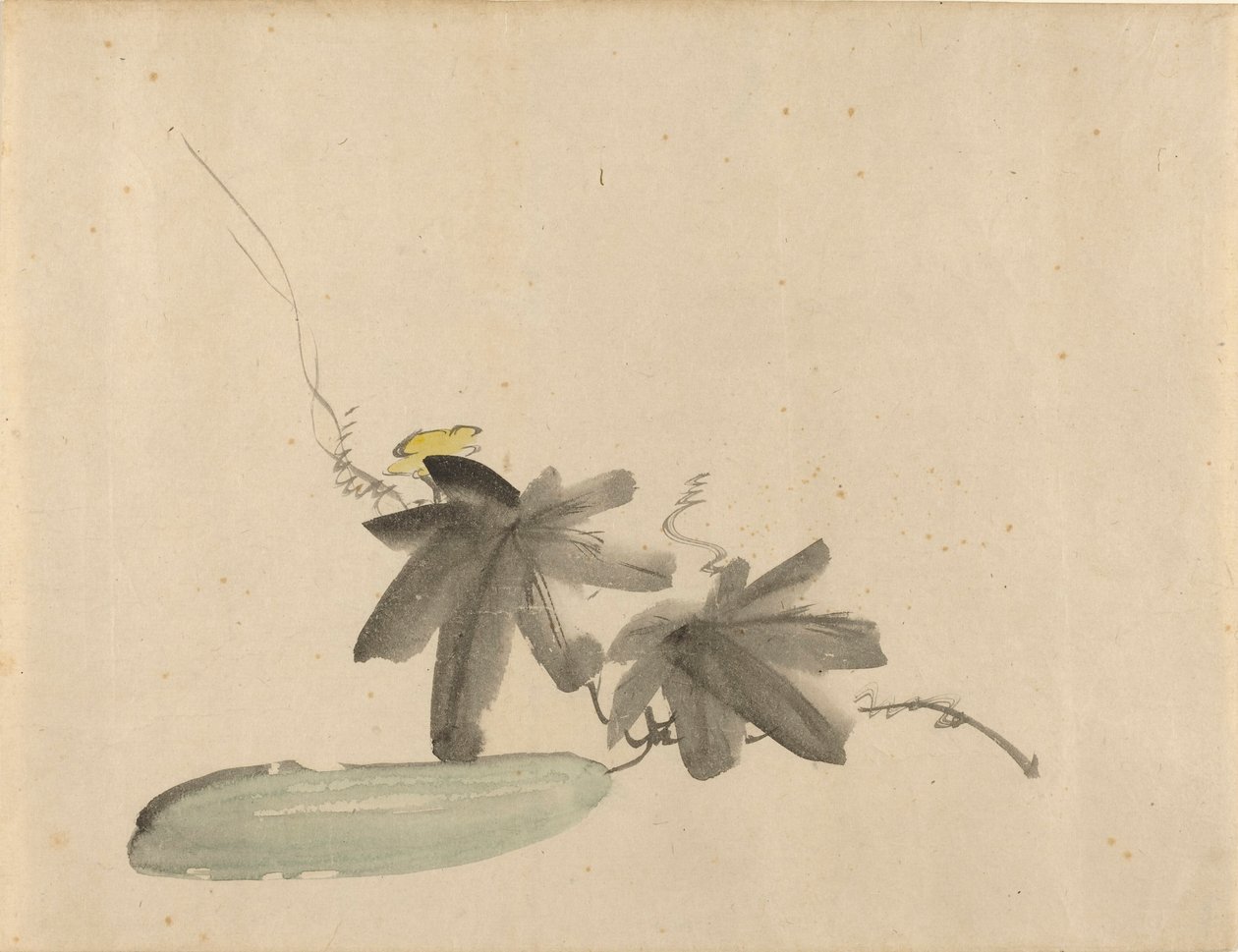 Cucumber with Leaves, c. 1880 by Édouard Manet