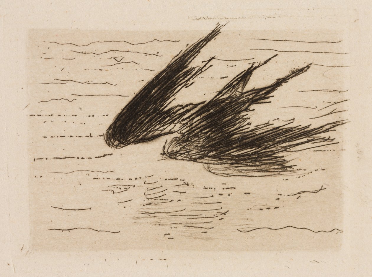 Swallows, plate 8 from The River by Édouard Manet