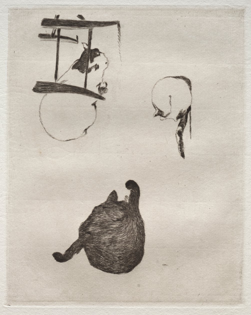 The Cats by Édouard Manet