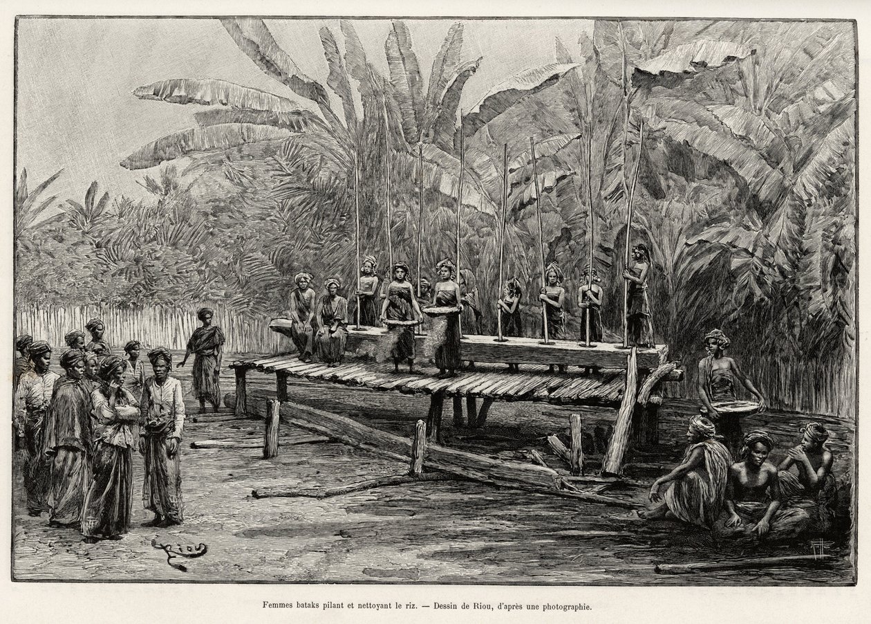 Batak women, northern Sumatra ethnic group, pounding and cleaning rice. Engraving by Riou to illustrate the story 