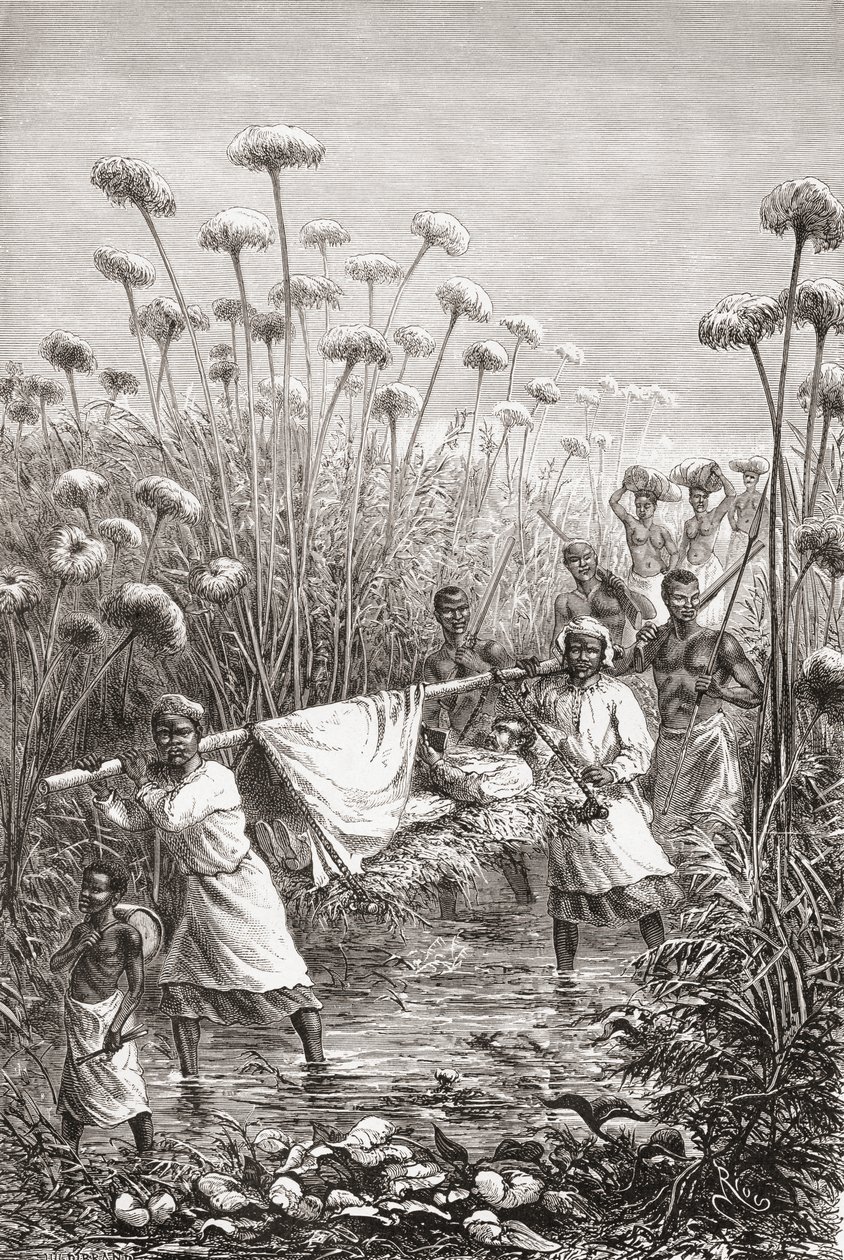 Dr. David Livingstone being carried the last few miles to the village of Tchitammbo, Africa, shortly before his death, illustration from 
