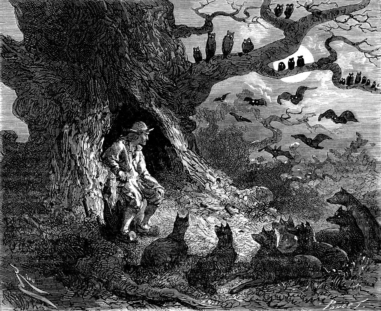 Illustration for Alexandre Dumas