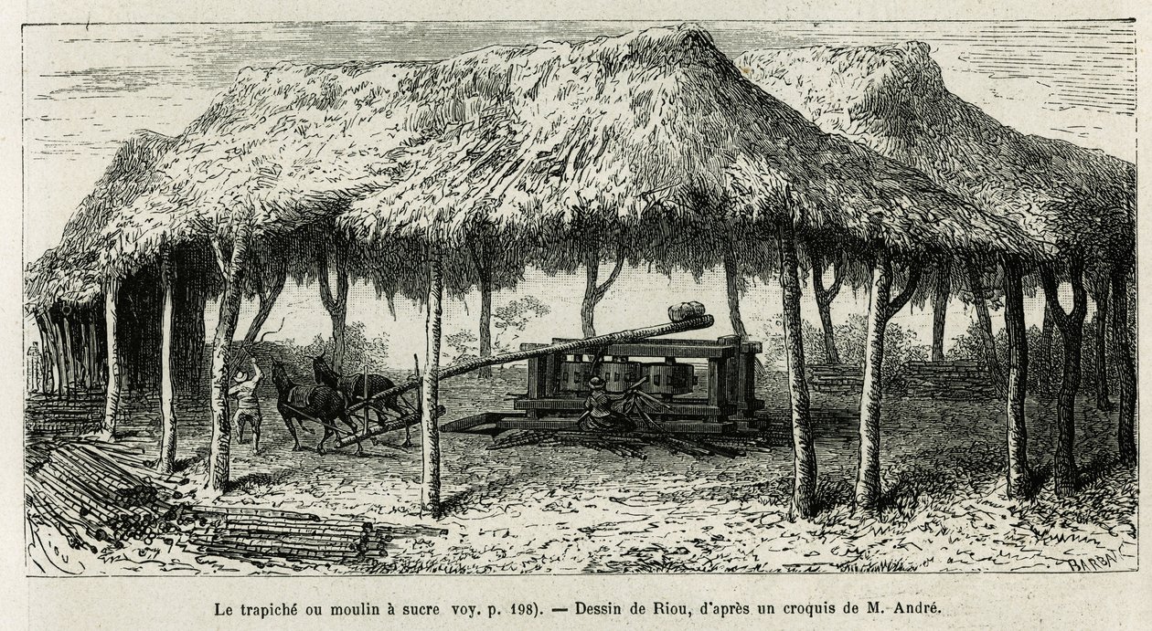 The Trapiche or Sugar Mill in Panche (Colombia) (drawing by Riou, to illustrate the story of Equinoxiale America by Ed. Andre, 1875-1876) by Edouard Riou