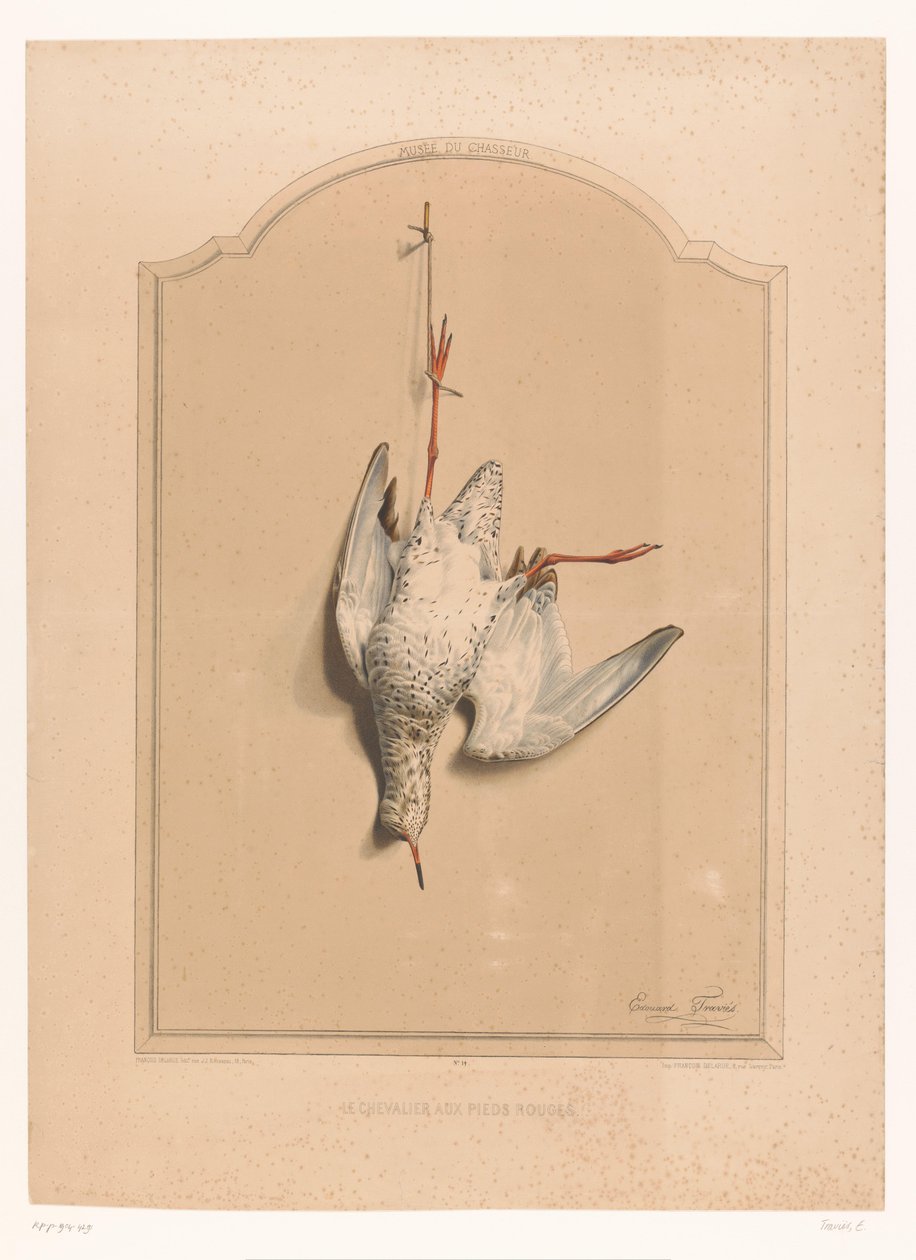 Dead Redshank Hanging by a Leg (Museum of the Hunter) by Edouard Travies