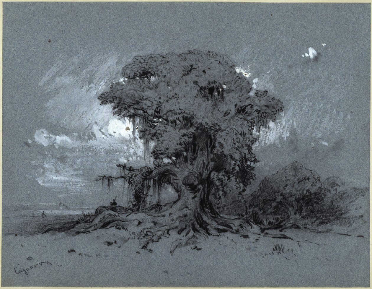 Old Tree by Eduard Hildebrandt