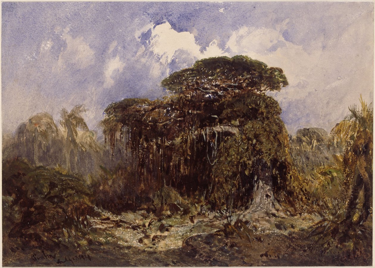 Forest Study by Eduard Hildebrandt