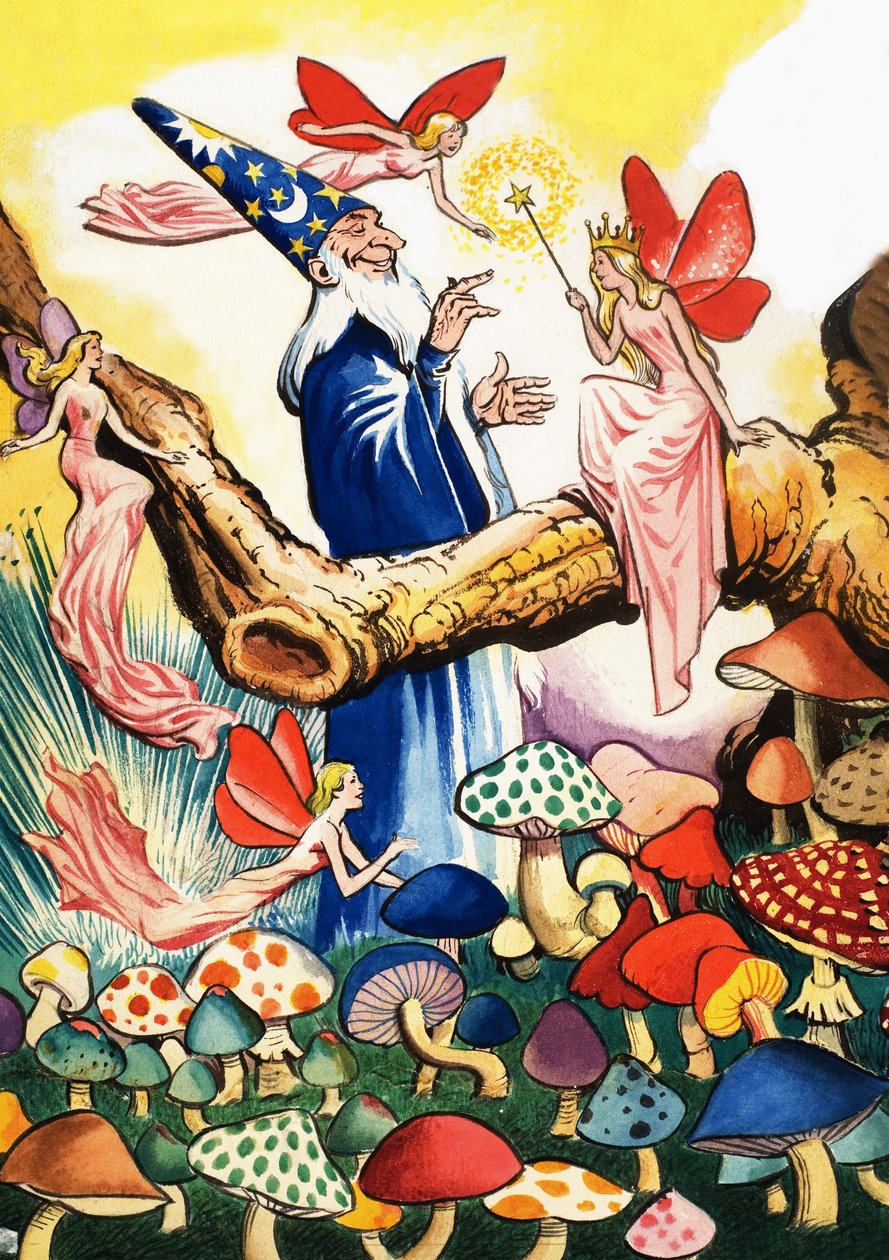 Wizard in the Mushroom Forest by Eduardo Teixeira Coelho