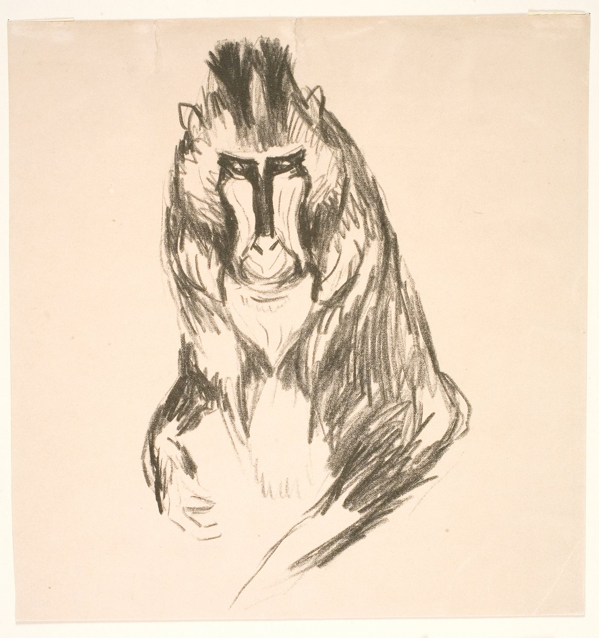 Gorilla (Mandrill) by Edvard Munch