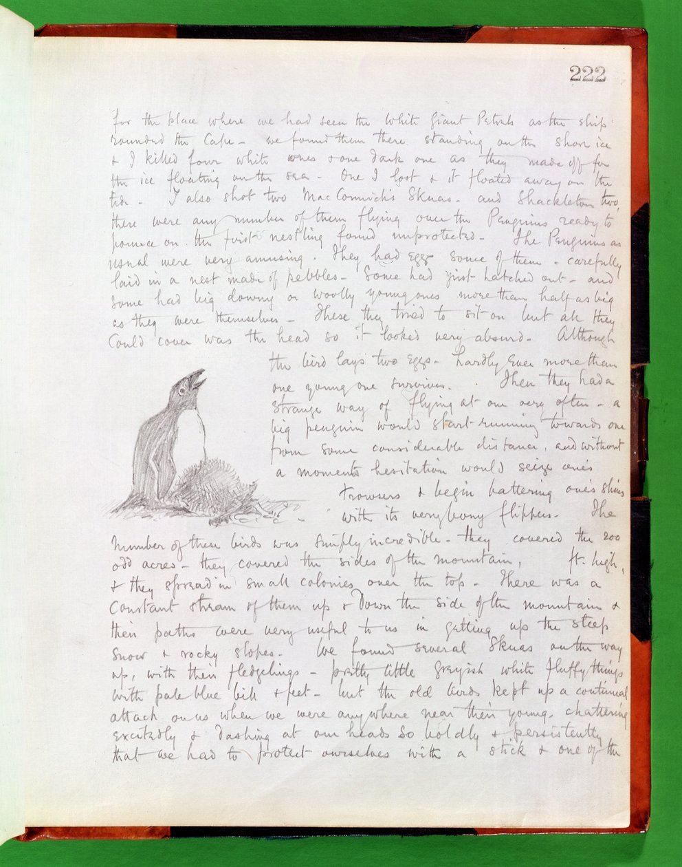 Diary Entry for 9th January, 1902 by Edward Adrian Wilson