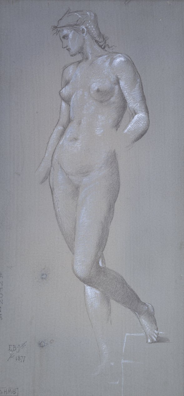 Antonia, 1877 by Edward Burne Jones