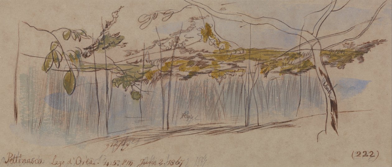 Pettenasco, Lake Orta by Edward Lear