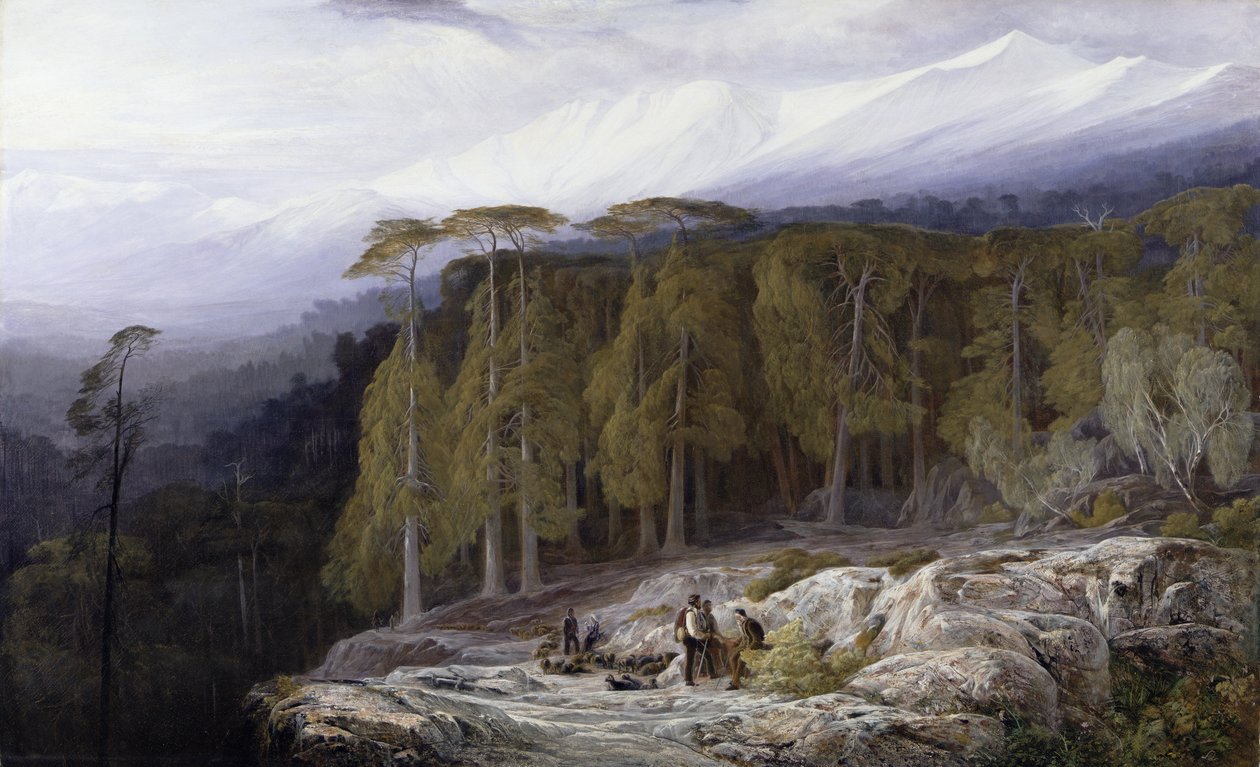 The Forest of Valdoniello, Corsica by Edward Lear
