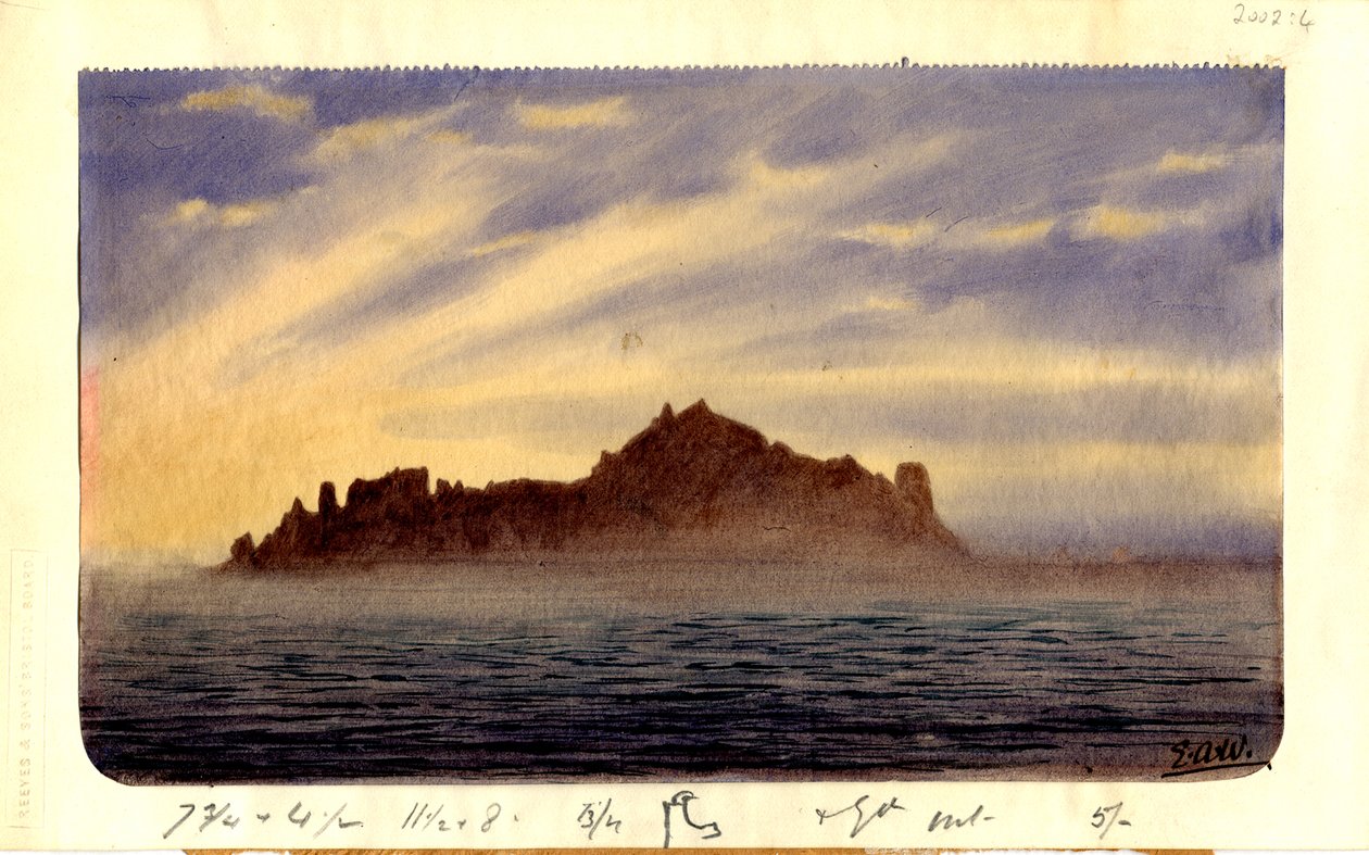 South Trinidad, 1901 by Edward Adrian Wilson