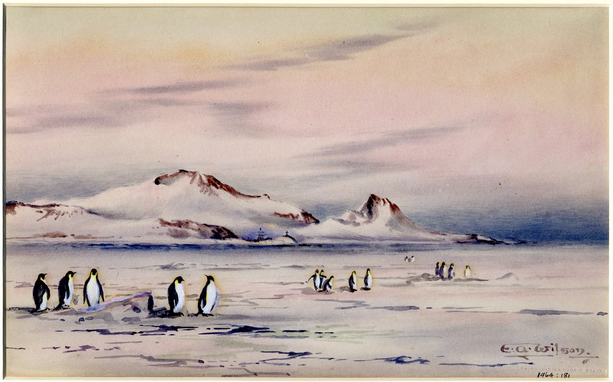 The Discovery Winter Quarters, c.1901-04 by Edward Adrian Wilson