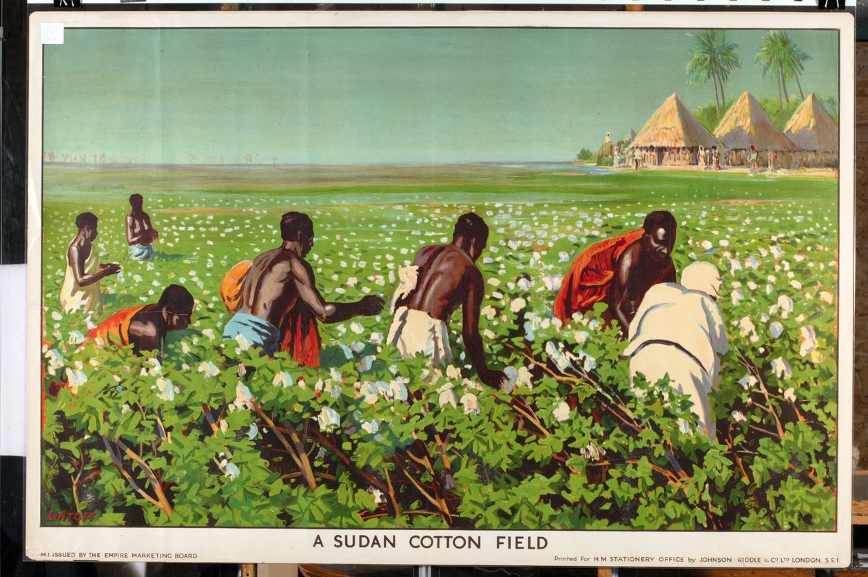 A Sudan Cotton Field, from the series 