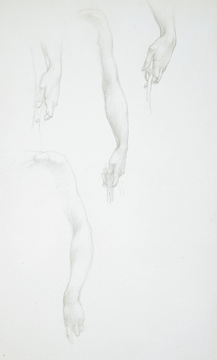 Studies of Arms and Hands; Study of Female Torso by Edward Burne-Jones