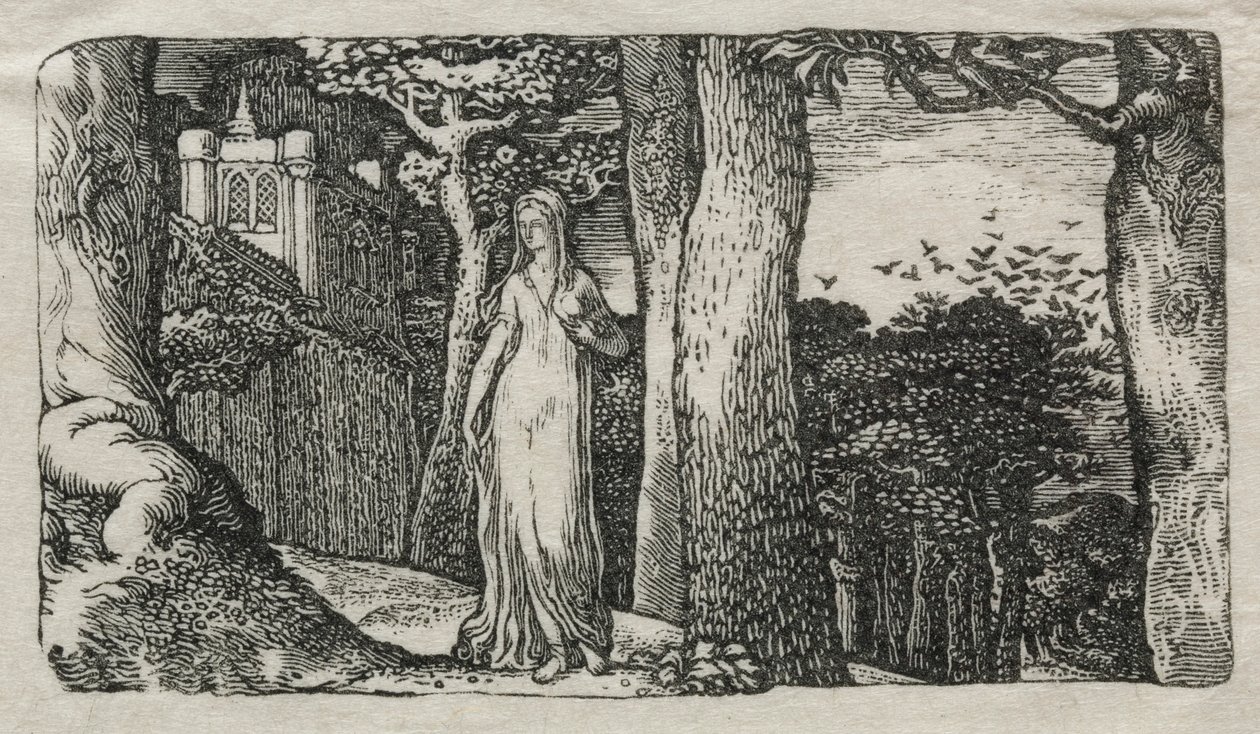 The Lady and the Rooks, 1829 by Edward Calvert