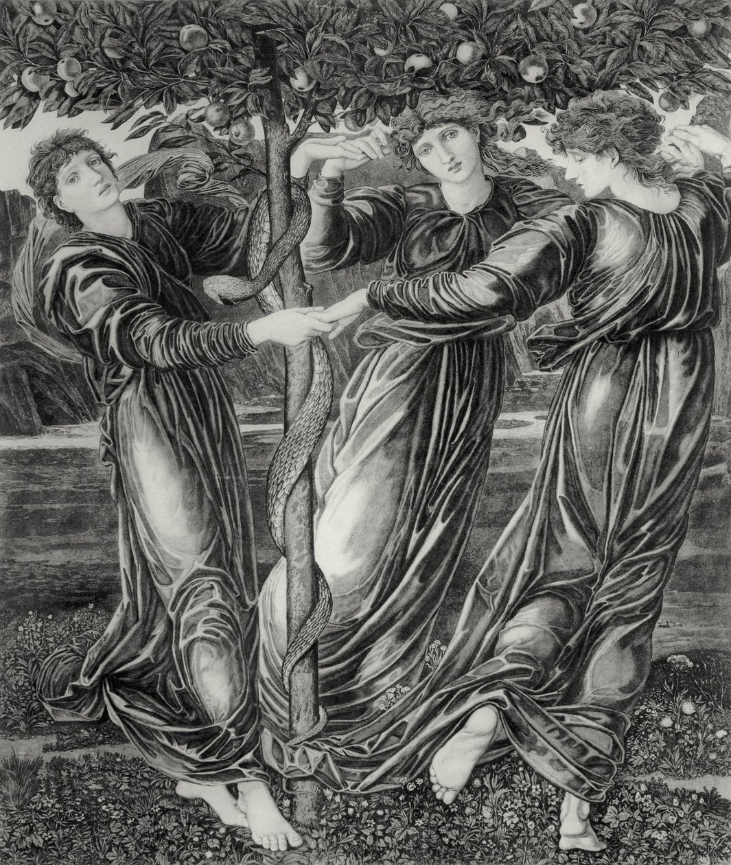 The Garden of Hesperides by Edward Coley (after) Burne Jones