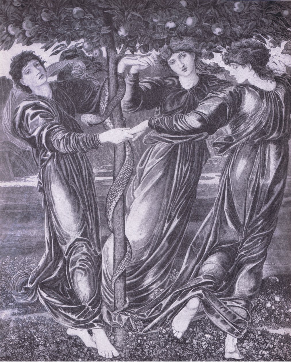 The Garden of Hespirides, Bibbys Annual by Edward Coley (after) Burne Jones