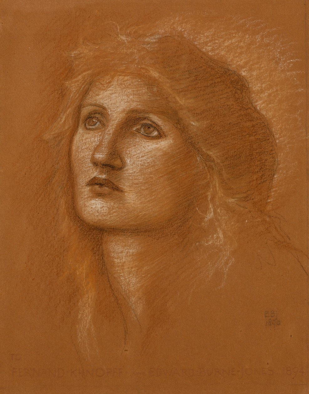 Head of a Woman by Edward Burne Jones