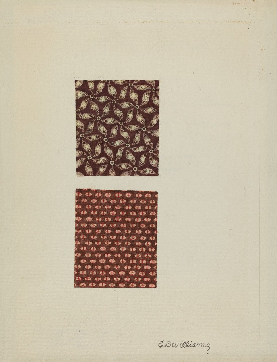 Printed Cotton Swatches by Edward D. Williams