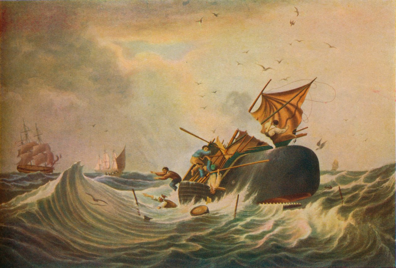 South Sea Whale Fishery by Edward Duncan