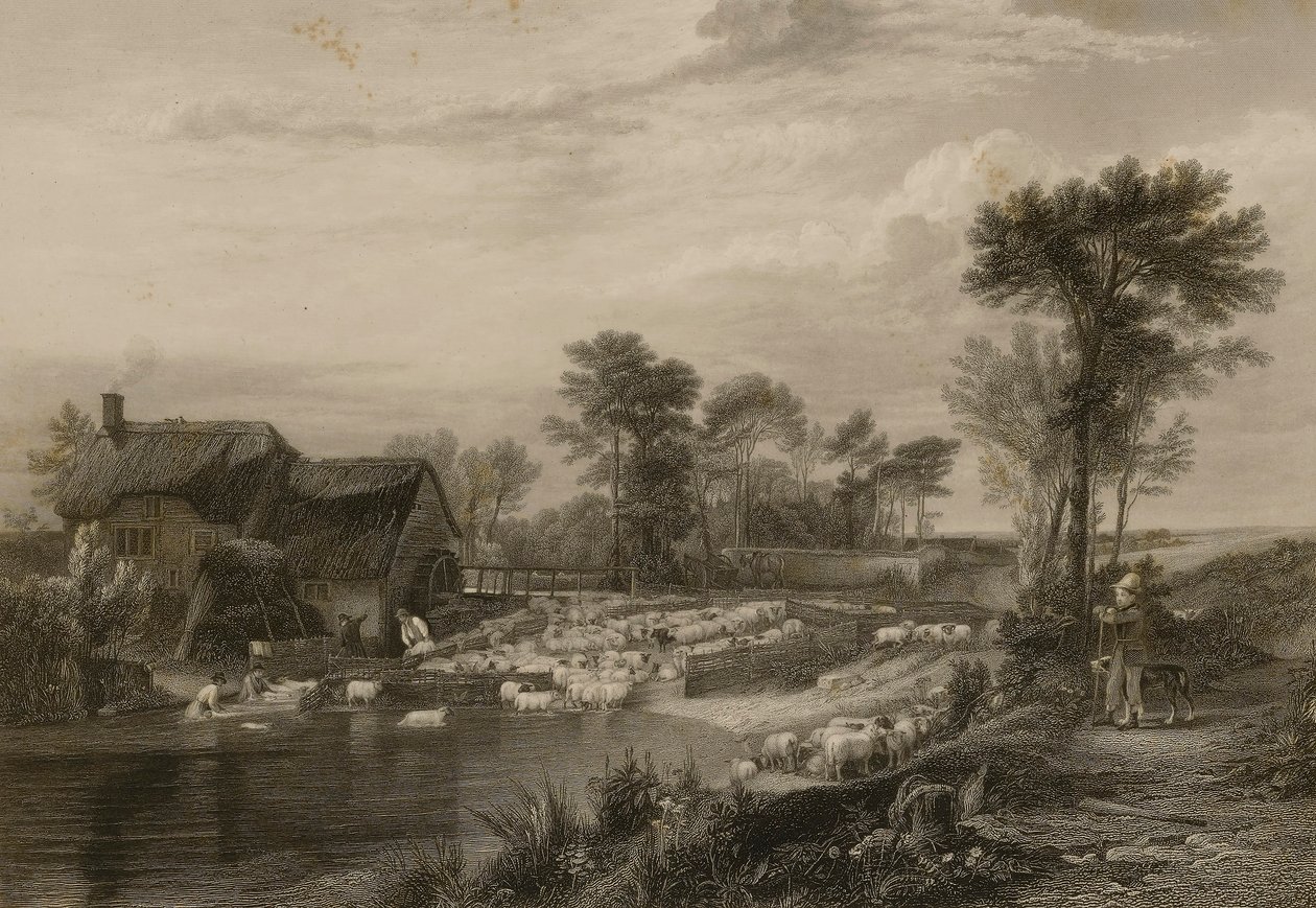 Sheep Washing by Edward Finden