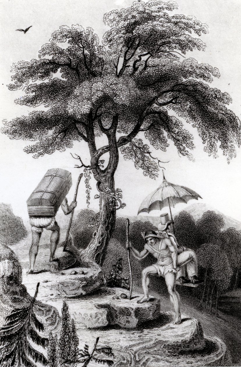 View of the Pass from Quindio, illustration from 