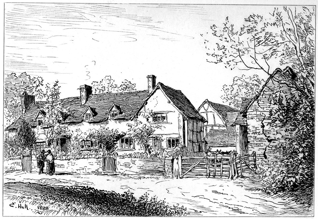 Mary Arden