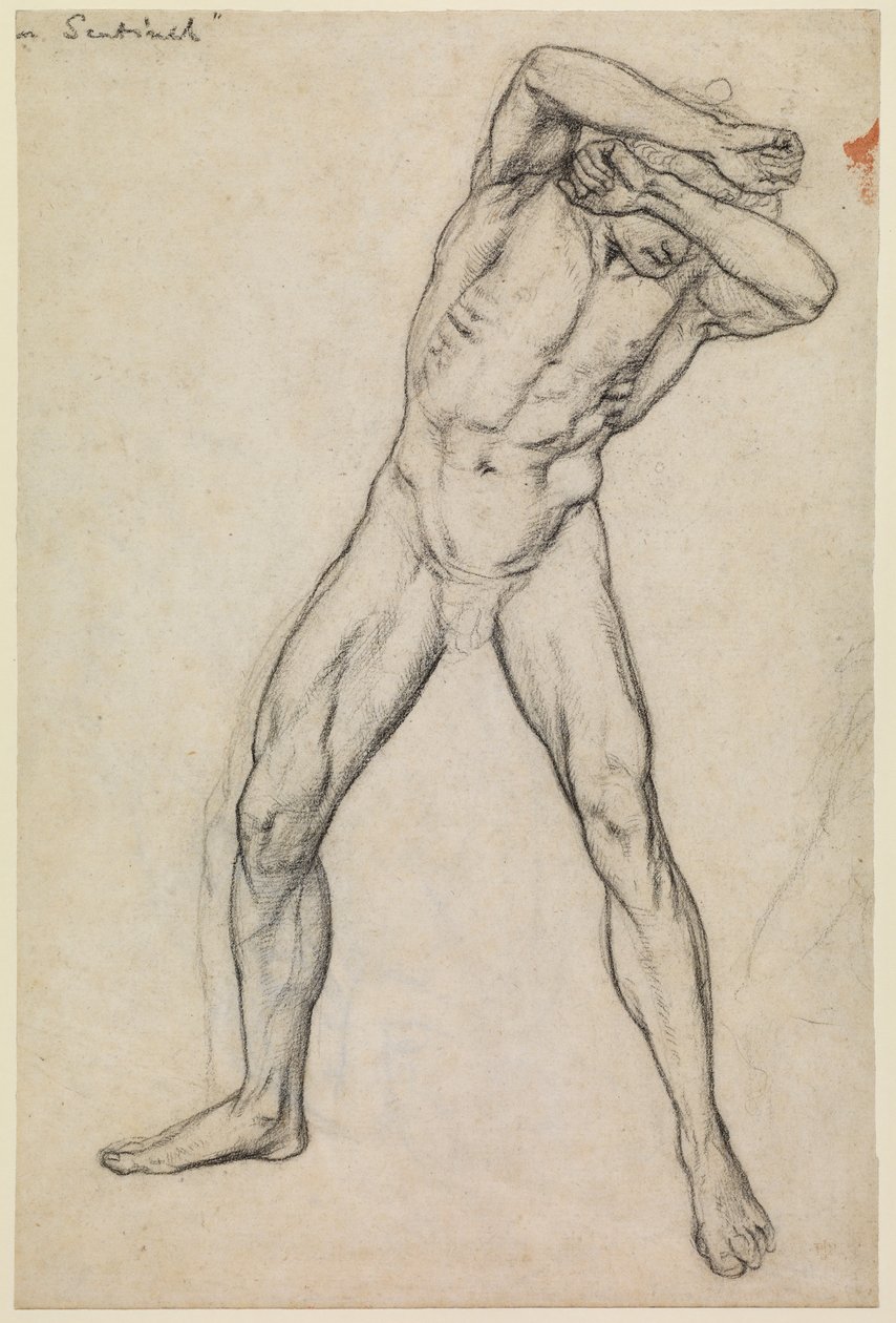 Study of a male nude for 