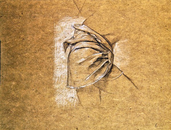 Study of a Male Torso Draped in a Loin-cloth, for The Prodigal