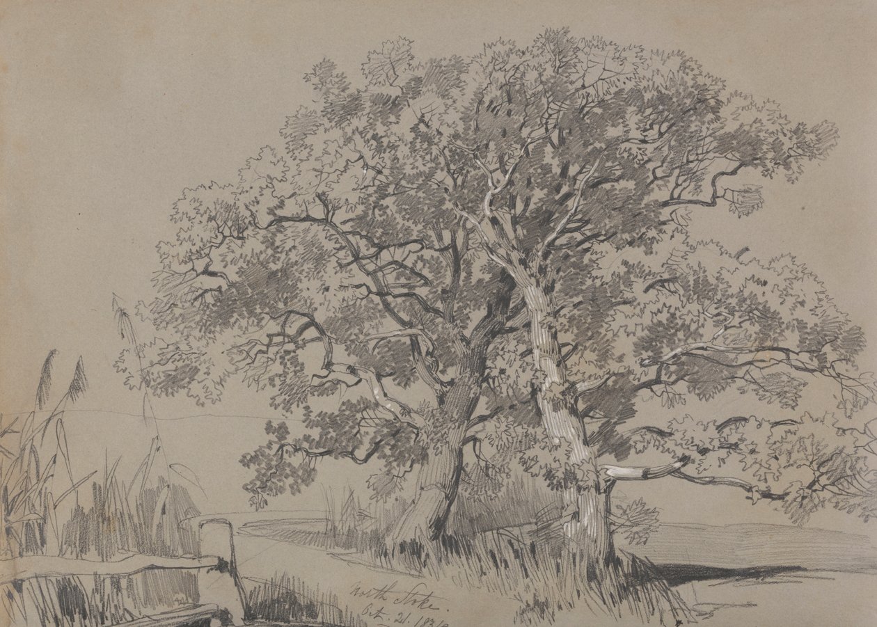 North Stoke, October 21, 1834 by Edward Lear