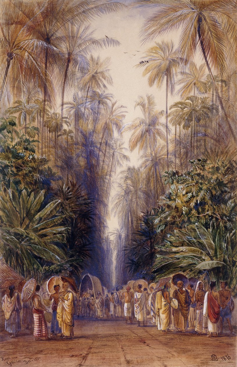 On the Road to Galle, Ceylon by Edward Lear