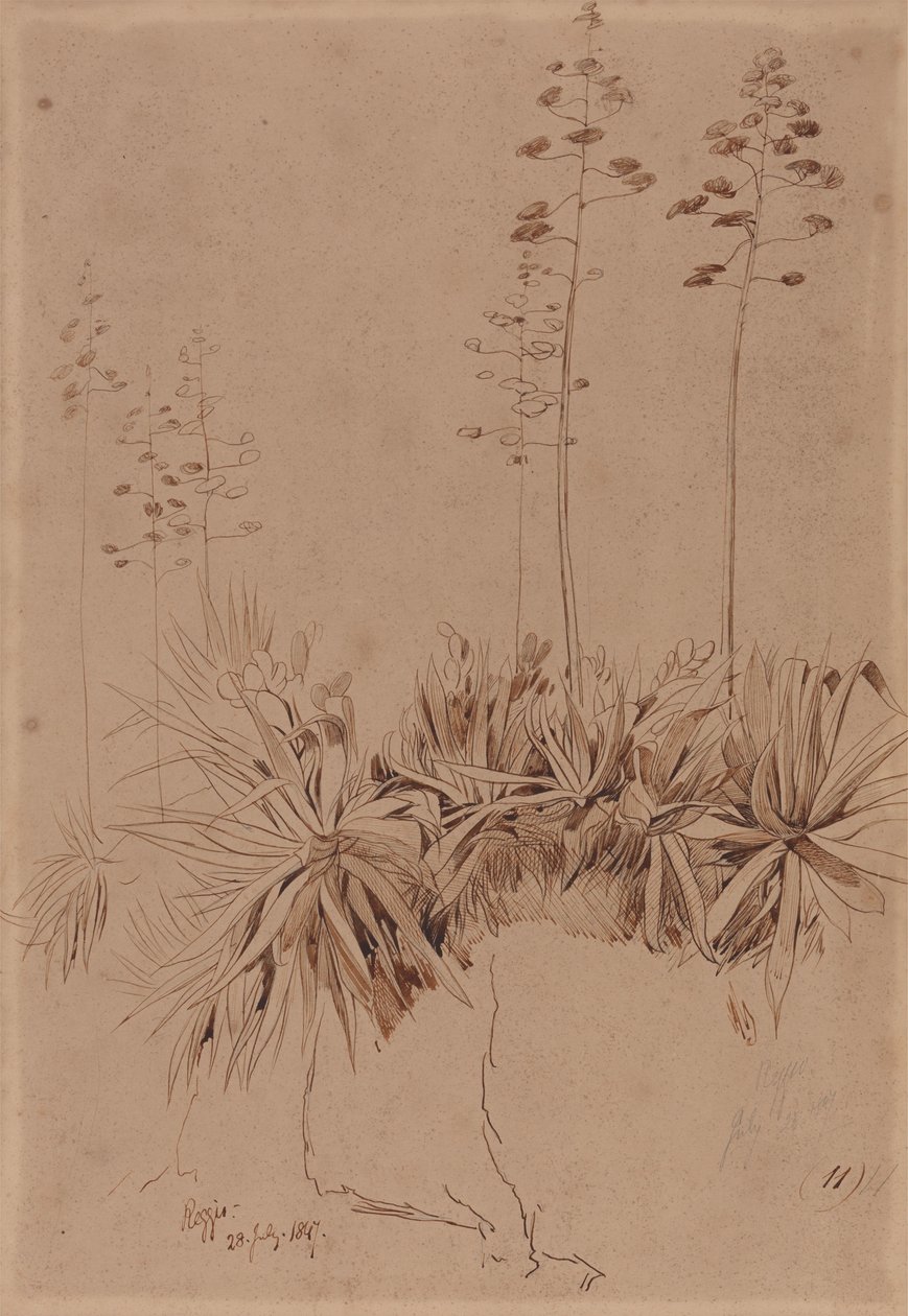 Reggio by Edward Lear